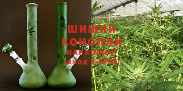 крисы Елизово