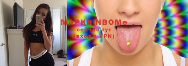 индика Заволжск
