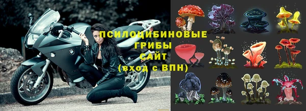 ALPHA PVP Ельня