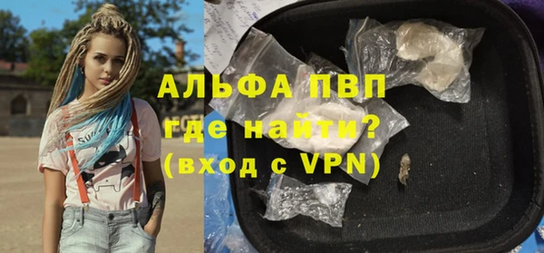 индика Заволжск