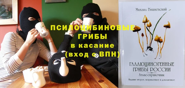 индика Заволжск