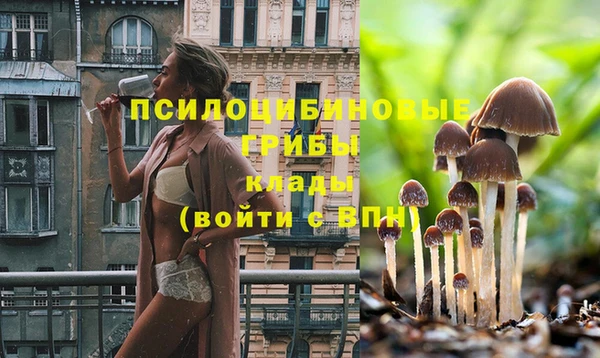 крисы Елизово
