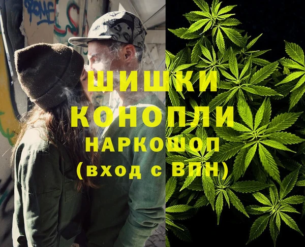 ALPHA PVP Ельня