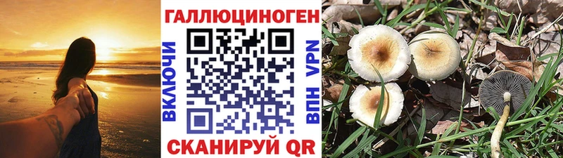 Псилоцибиновые грибы Magic Shrooms  Купить закладки  Кедровый 