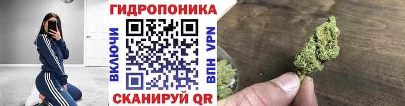 МАРИХУАНА тримм  Купить закладки  Кедровый 
